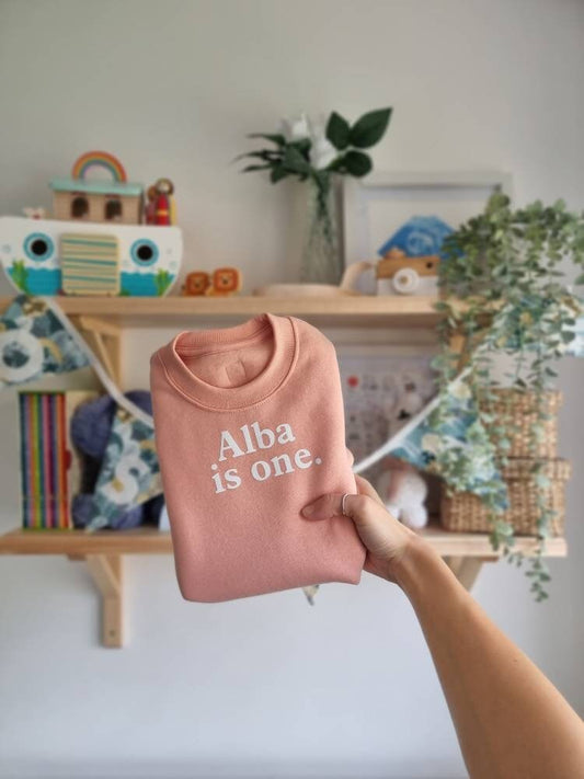 A hand holding a pink personalised birthday jumper with the text 'Alba is one!' displayed on it, in a home setting with children's toys and decorations in the background.