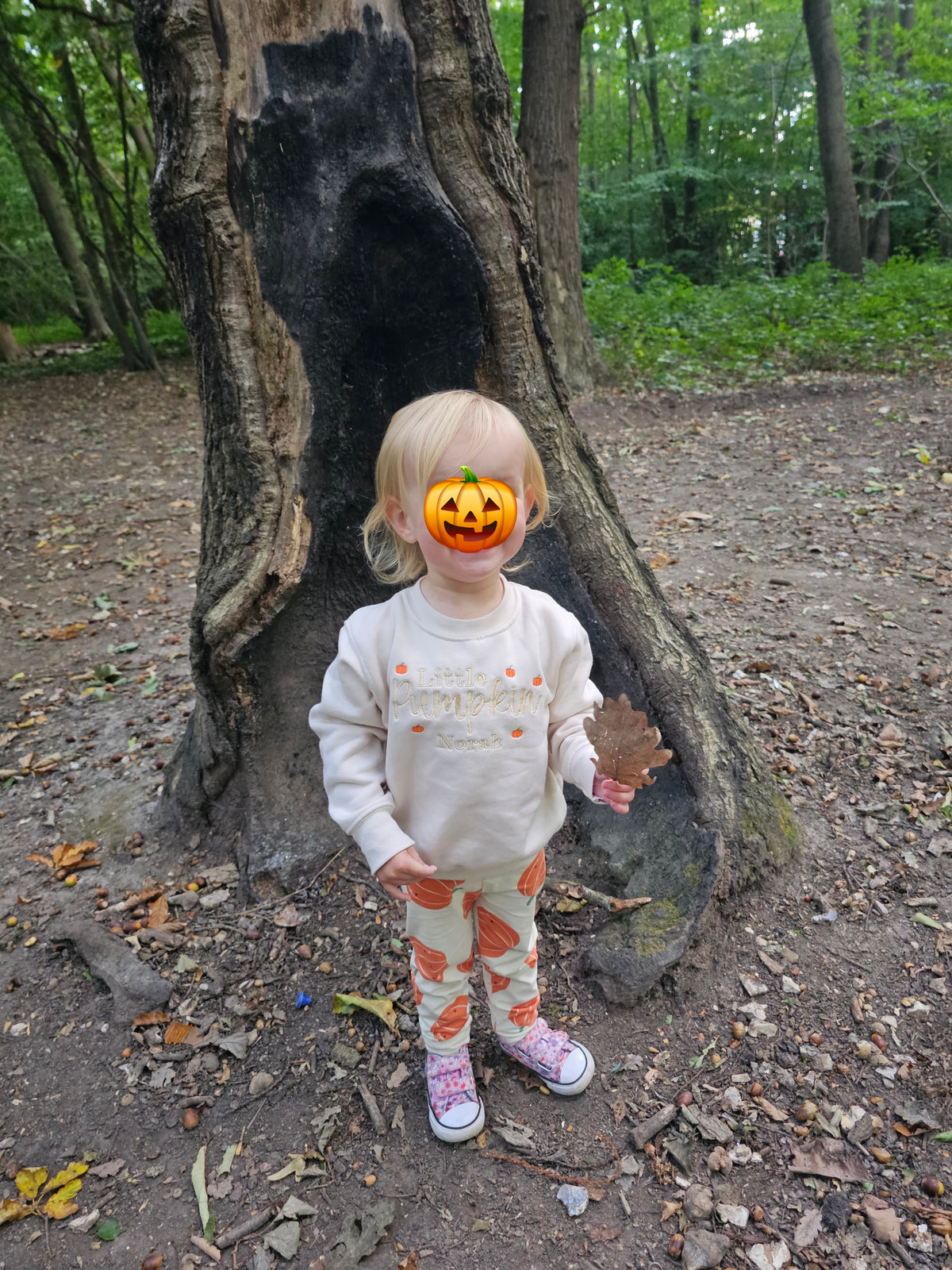 Personalised Little Pumpkin Embroidered with Name